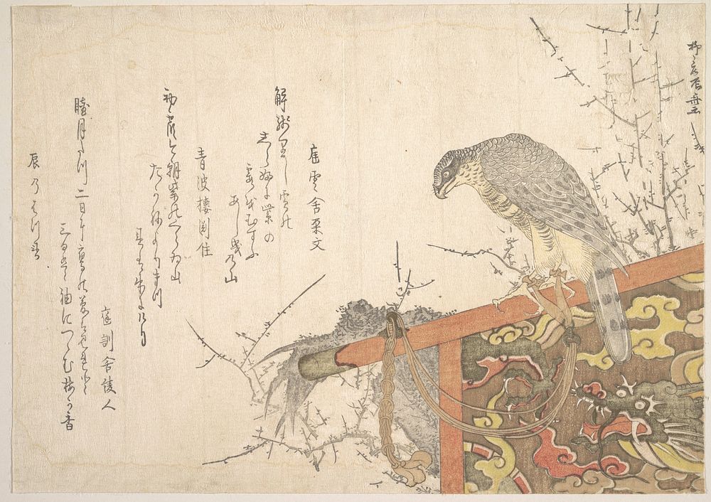 Hawk Tied to Perch by Ryūryūkyo Shinsai