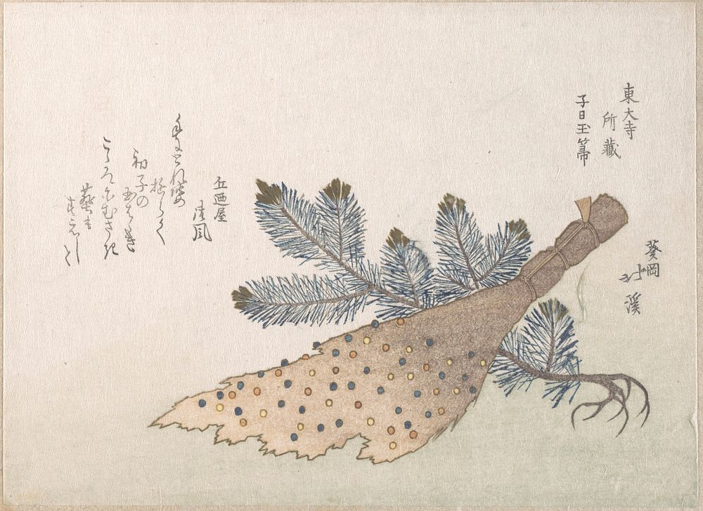 Young Pine Tree and Jeweled Broom by Totoya Hokkei