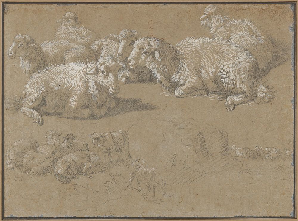 Reclining Sheep in a Landscape 