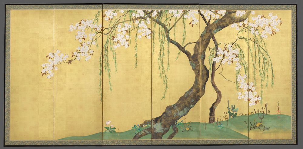 Cherry and Maple Trees  after Sakai Hōitsu