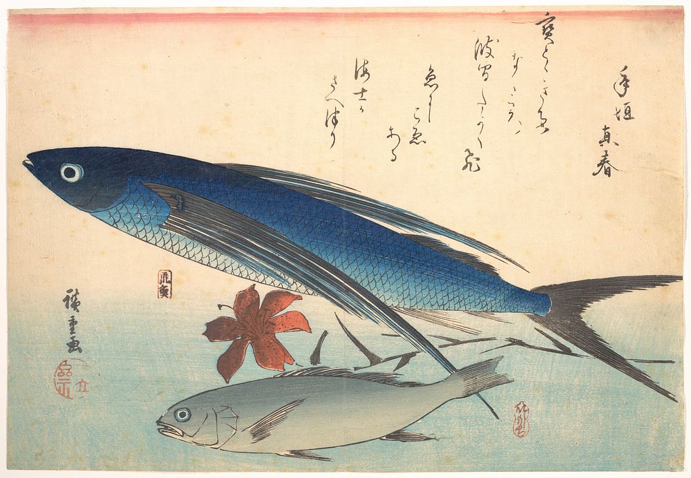 Utagawa Hiroshige (1830) Tobiuo and Ishimochi Fish, from the series Uozukushi (Every Variety of Fish). Original public…