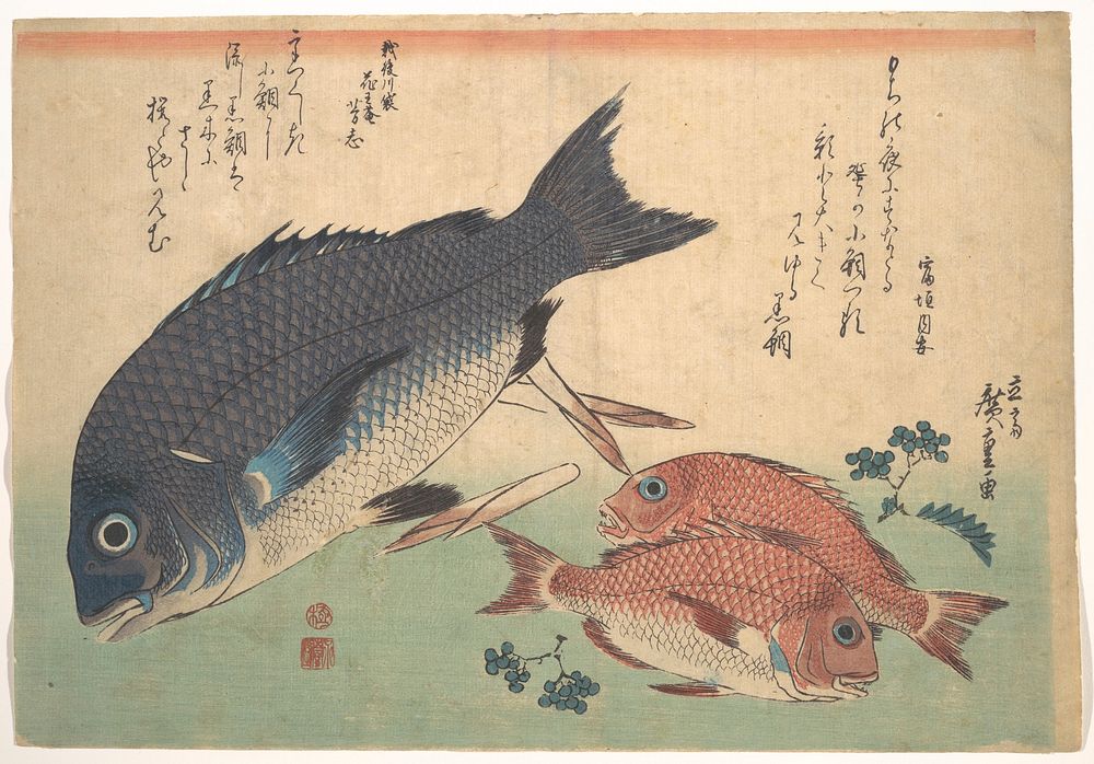 Utagawa Hiroshige (1830) Kurodai and Kodai Fish with Bamboo Shoots and Berries, from the series Uozukushi (Every Variety of…