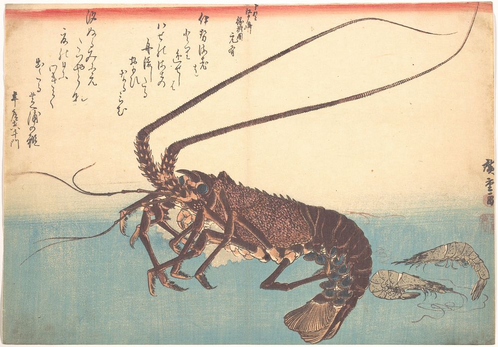 Utagawa Hiroshige (1830) Ise-ebi and Shiba-ebi, from the series Uozukushi (Every Variety of Fish). Original public domain…