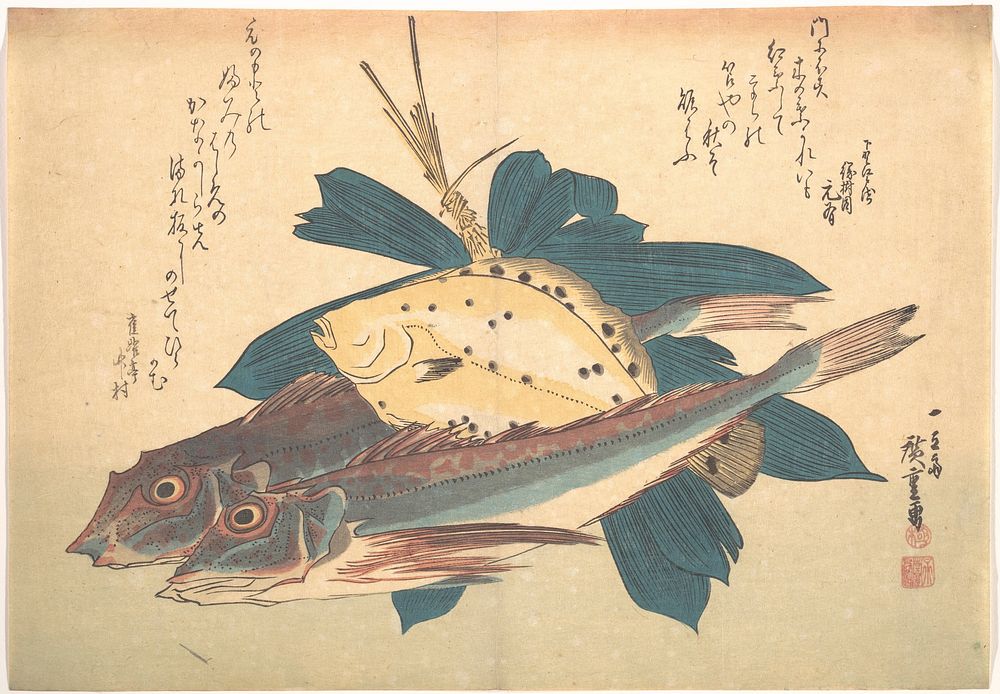Utagawa Hiroshige (1830) Kanagashira and Karei Fish, from the series Uozukushi (Every Variety of Fish). Original public…