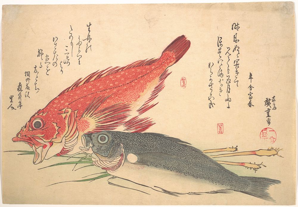 Utagawa Hiroshige (1830) Isaki and Kasago Fish, from the series Uozukushi (Every Variety of Fish). Original public domain…