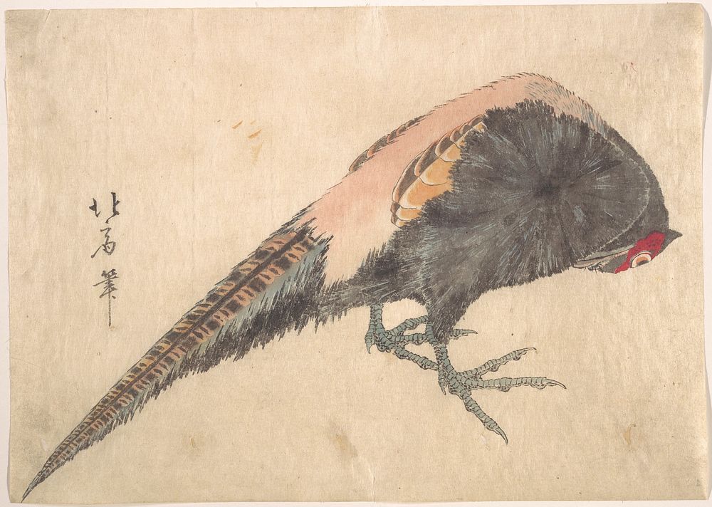 Hokusai (1760 - 1849) Pheasant On The Snow Original public domain image from the MET museum.
