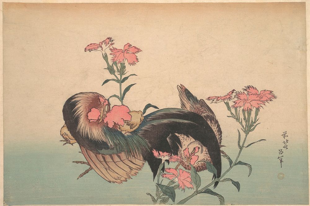 Hokusai's Katsushika Hokusai, Cock, Hen, and Nadeshiko (1850). Original public domain image from the MET museum.