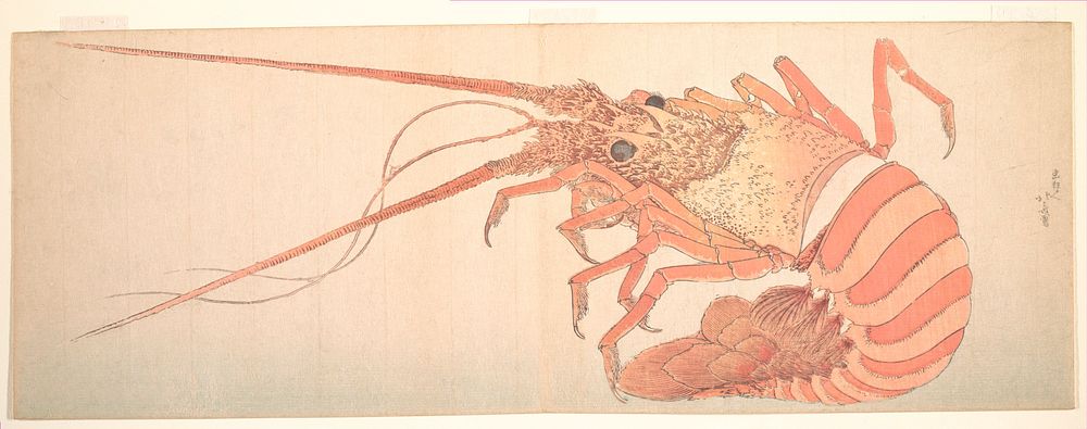 Large Lobster. Original public domain image from the MET museum.