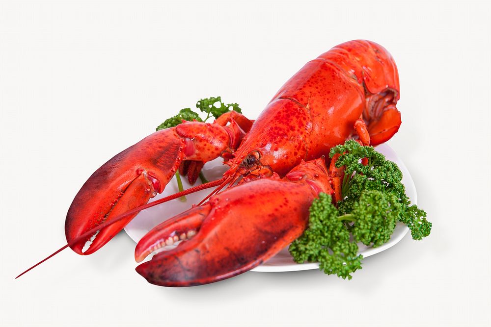 Lobster dish isolated food image