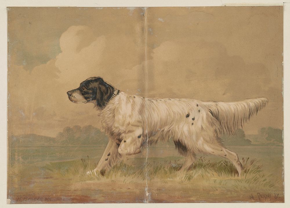 Hunting dog. Original from the Library of Congress.