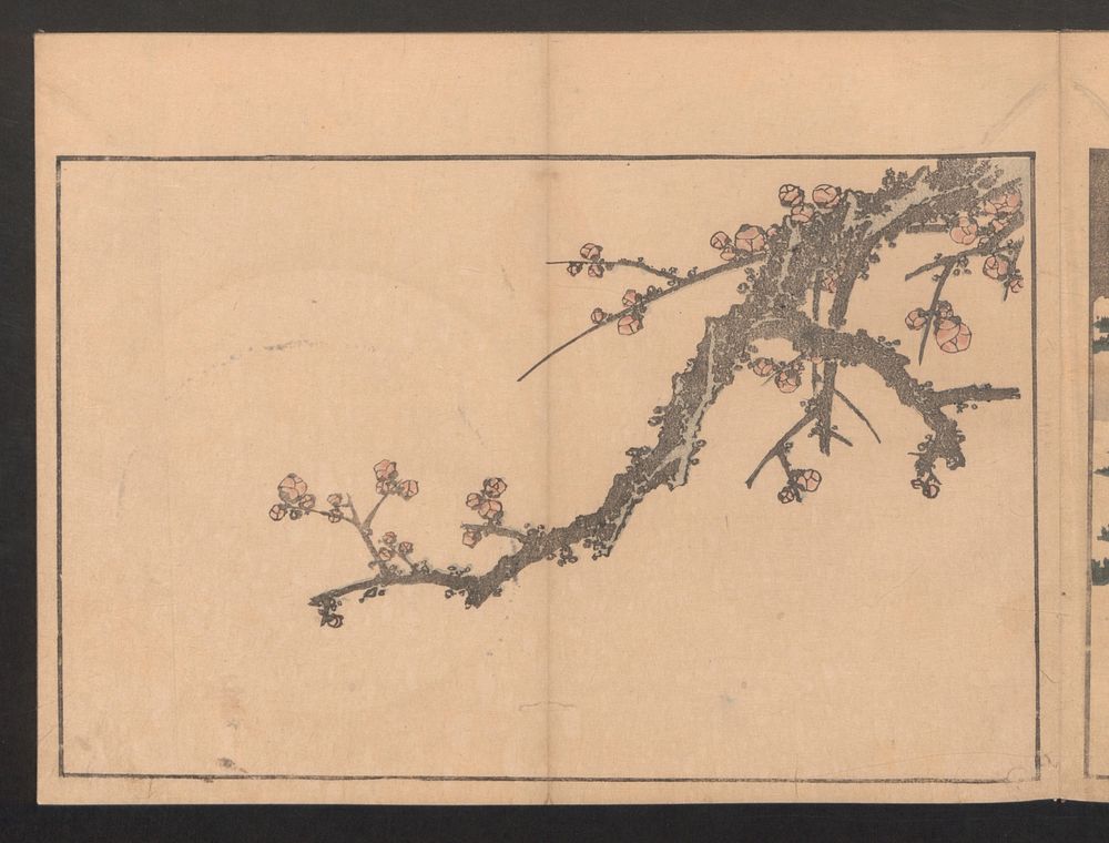 Plum Branch by Hokusai (1760 - 1849). Original public domain image from the MET museum.