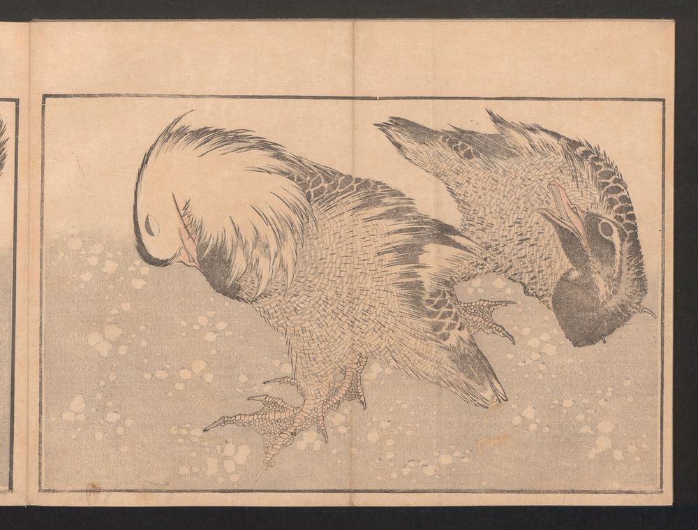 Katsushika Hokusai's bird. Original public domain image from the MET museum.