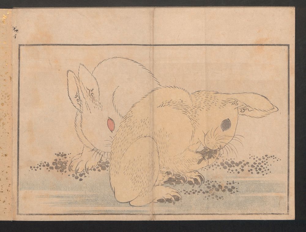 Katsushika Hokusai's rabbit. Original public domain image from the MET museum.
