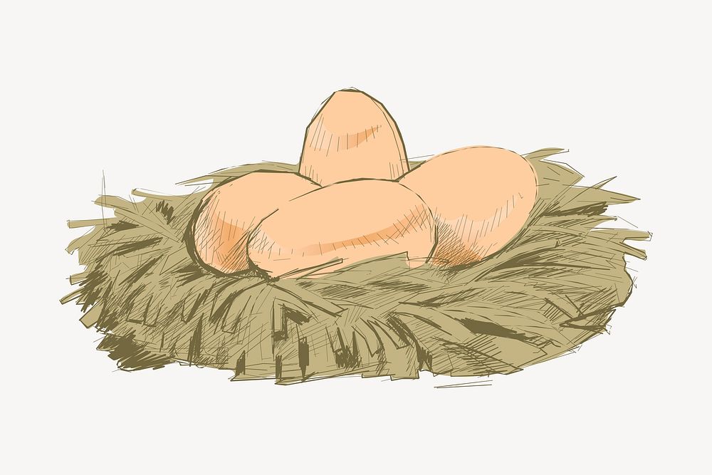 Eggs nest animal illustration vector