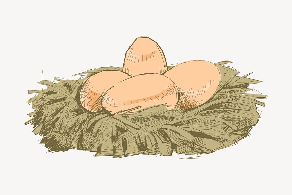 Eggs nest sketch animal illustration psd