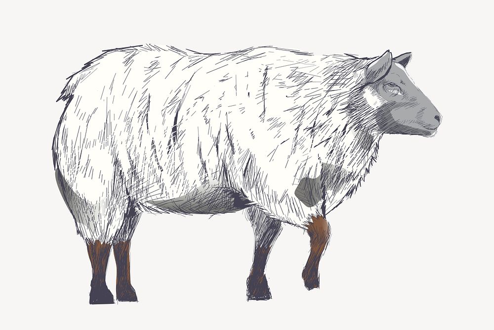 Fluffy sheep animal illustration vector