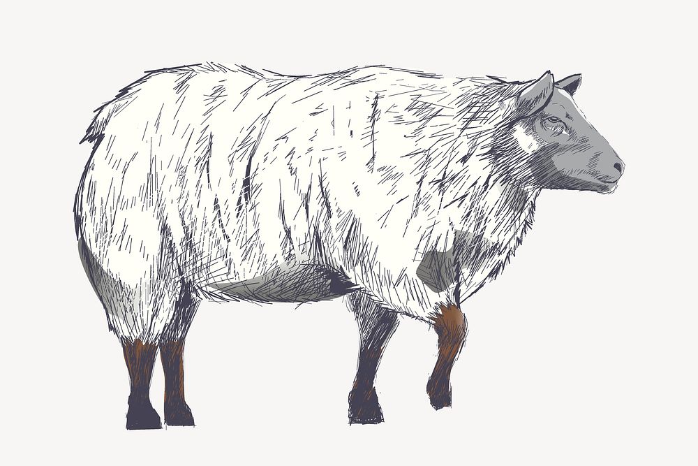 Fluffy sheep sketch animal illustration psd