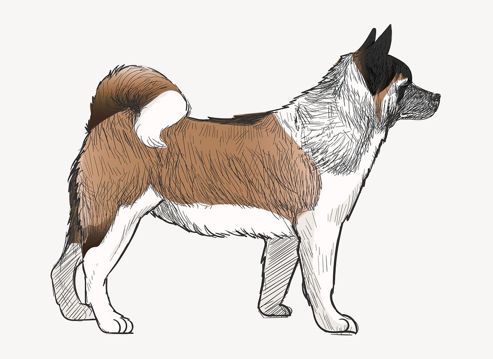 Akita dog animal illustration vector