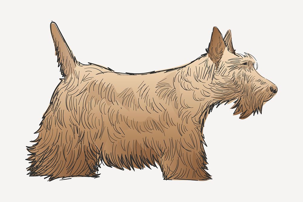 Scottish Terrier dog sketch animal illustration psd