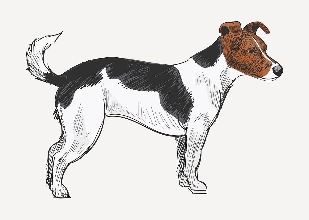 Jack Russell Terrier dog animal illustration vector