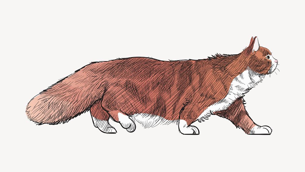Siberian cat animal illustration vector