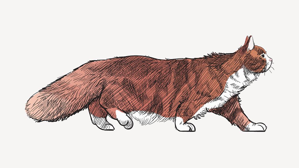 Siberian cat sketch animal illustration psd