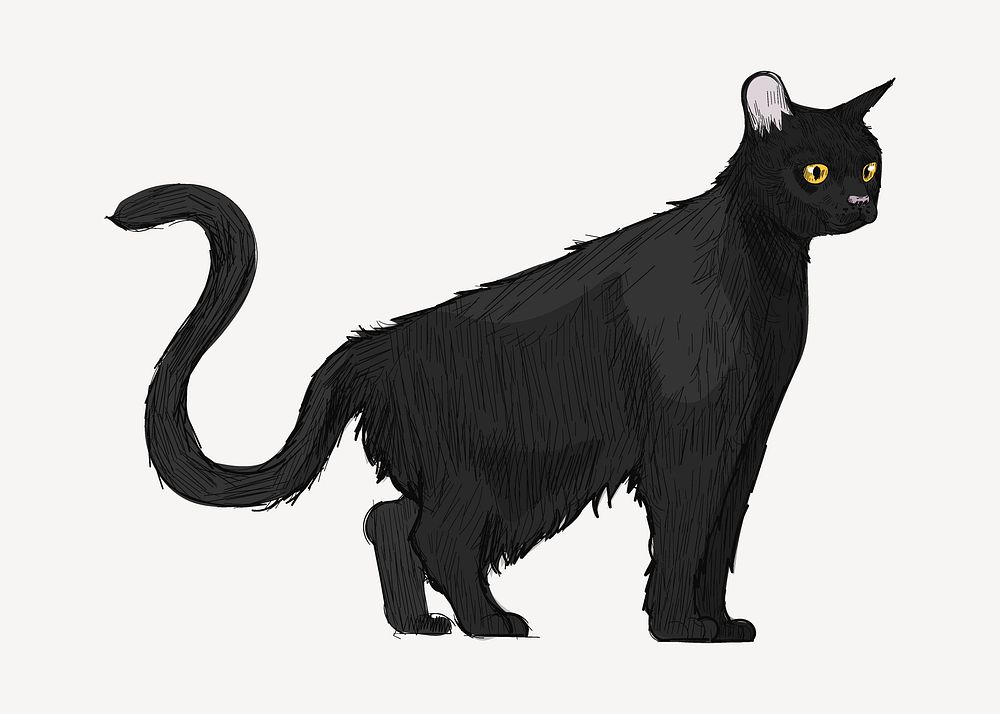 Bombay black cat sketch animal illustration psd