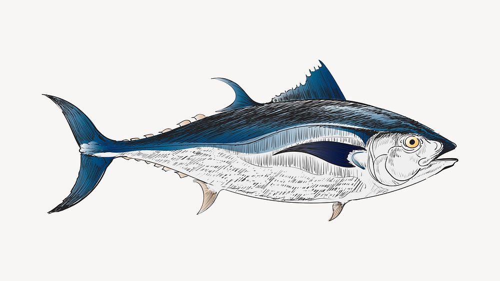 Tuna fish animal illustration vector