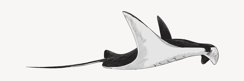 Black Stingray animal illustration vector