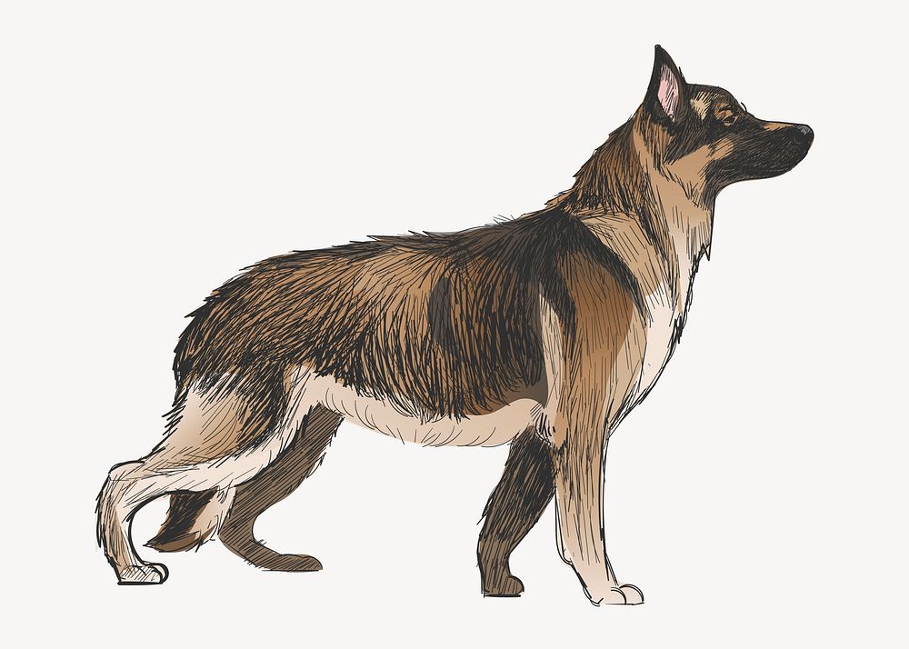 German Shepherd dog animal illustration vector
