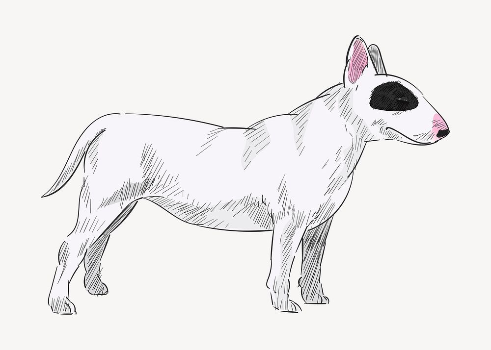 Bull Terrier dog animal illustration vector