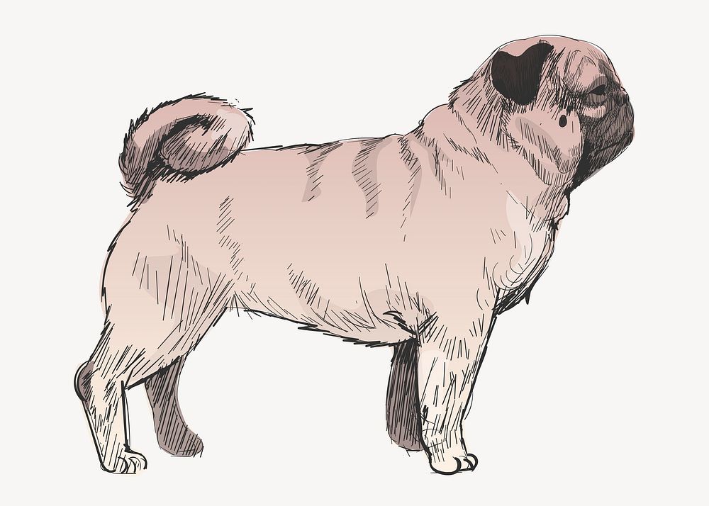 Pug dog animal illustration vector