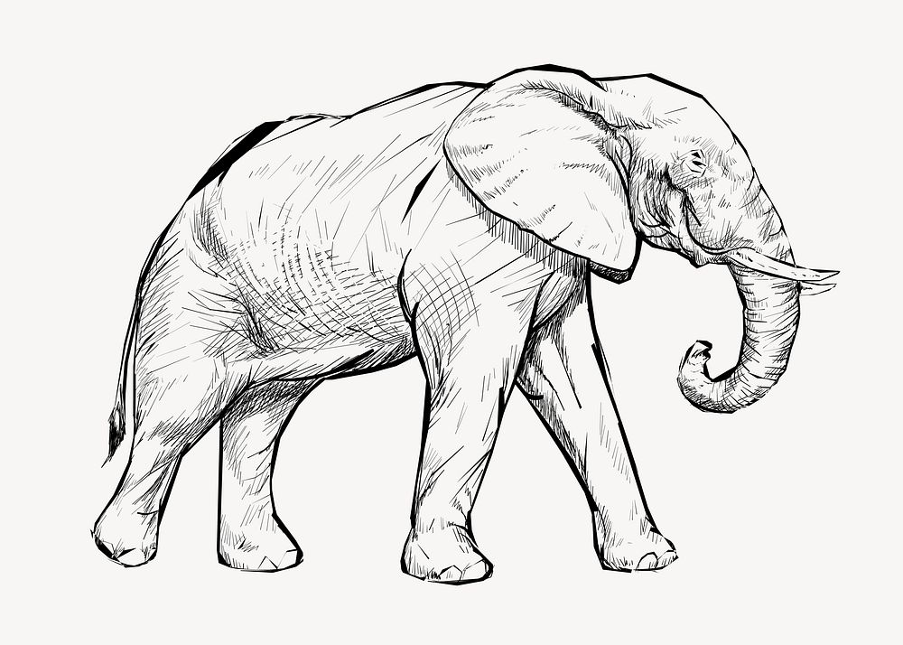 Elephant sketch animal illustration vector