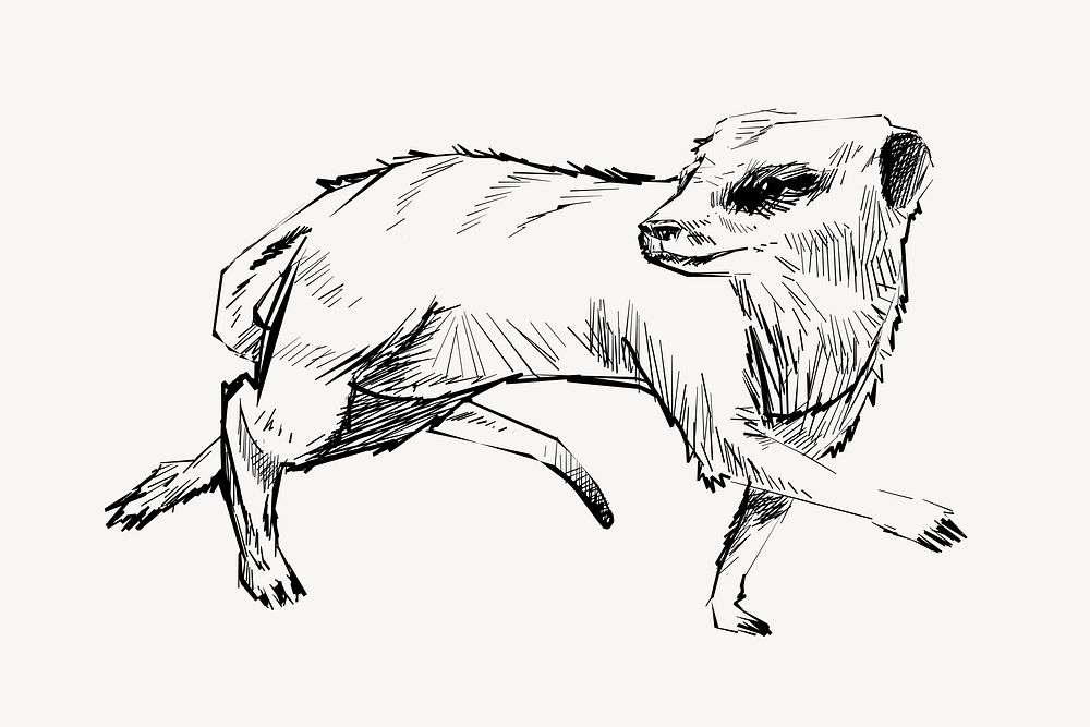 Meerkat walking animal illustration vector