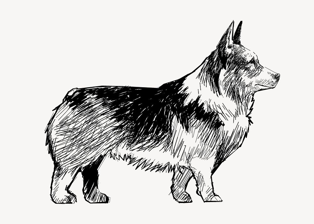 Black Corgi dog sketch animal illustration psd