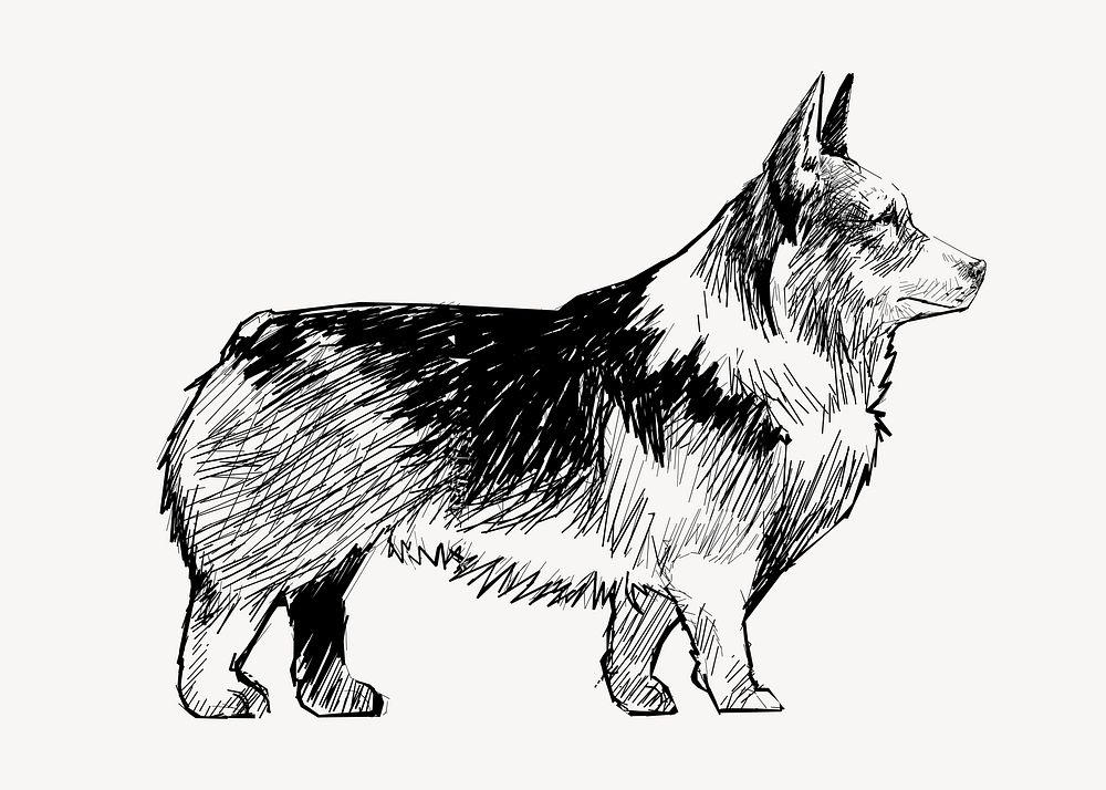 Black Corgi dog animal illustration vector