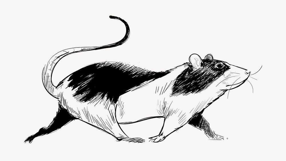 Mouse walking animal illustration vector