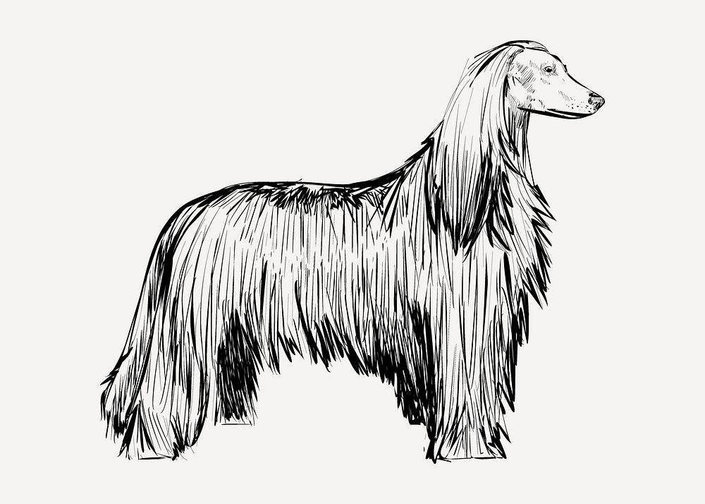 Afghan Hound dog sketch animal | Premium PSD - rawpixel