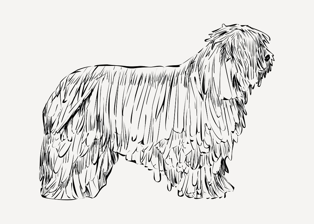 Briard dog animal illustration vector