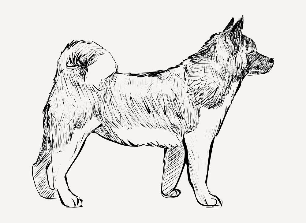 Akita dog animal illustration vector