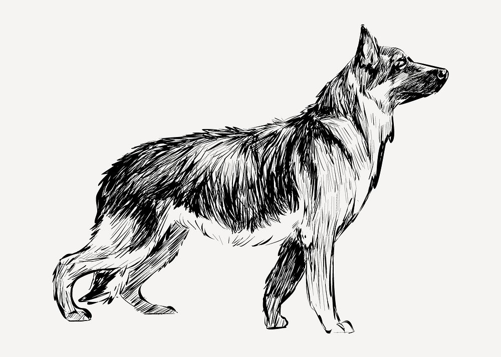 German Shepherd dog sketch animal illustration psd