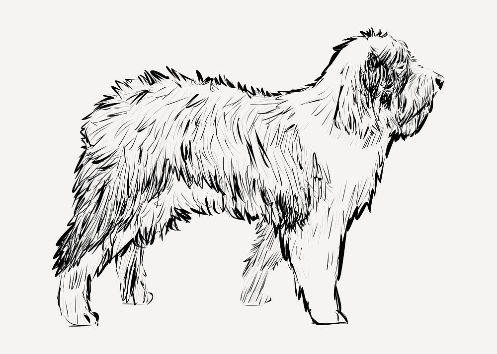Old English Sheepdog animal illustration vector
