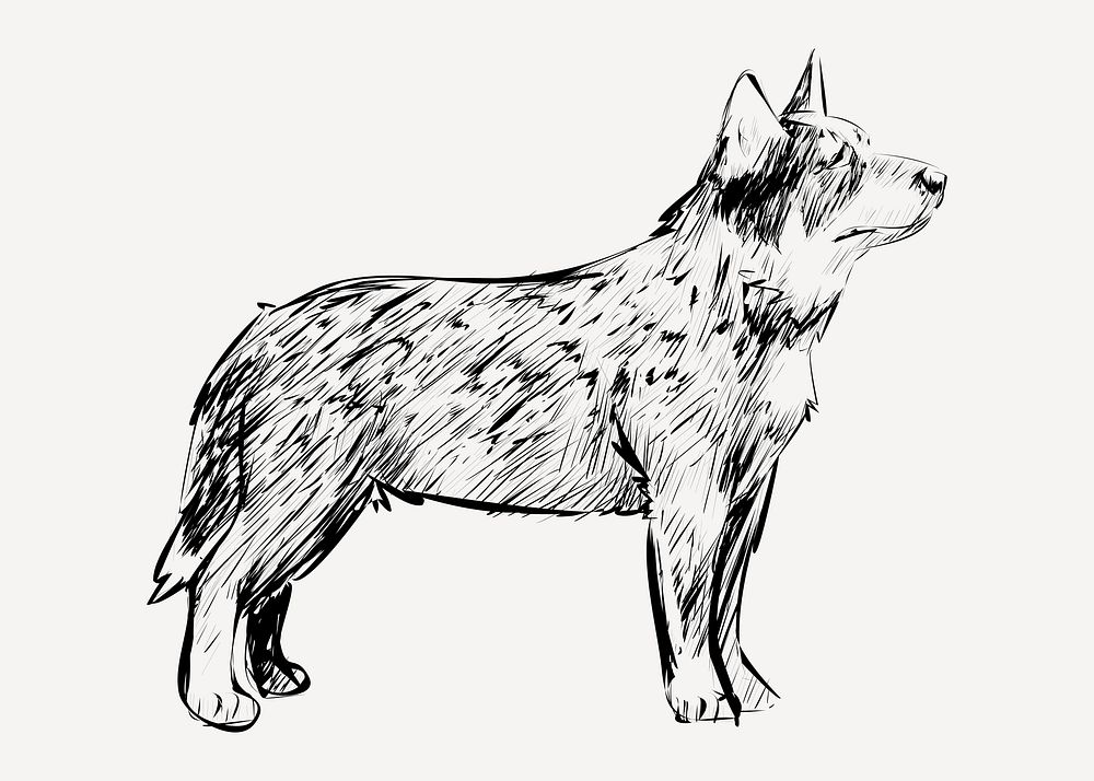 Cattle dog animal illustration vector
