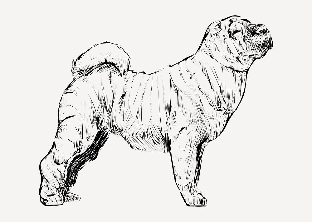 Shar Pei dog animal illustration vector