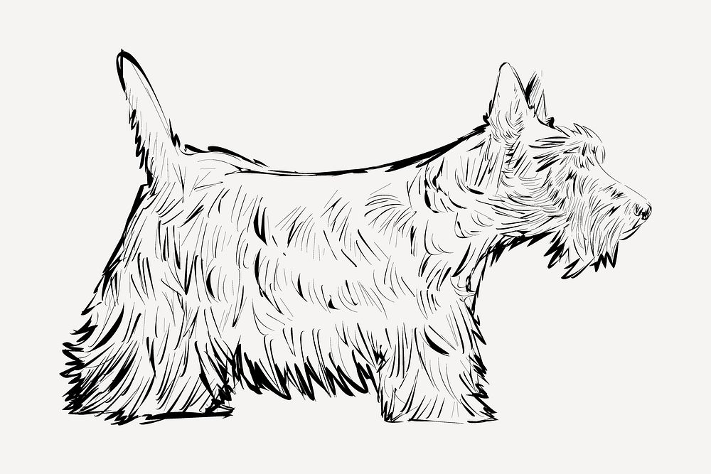 Scottish Terrier dog sketch animal illustration psd