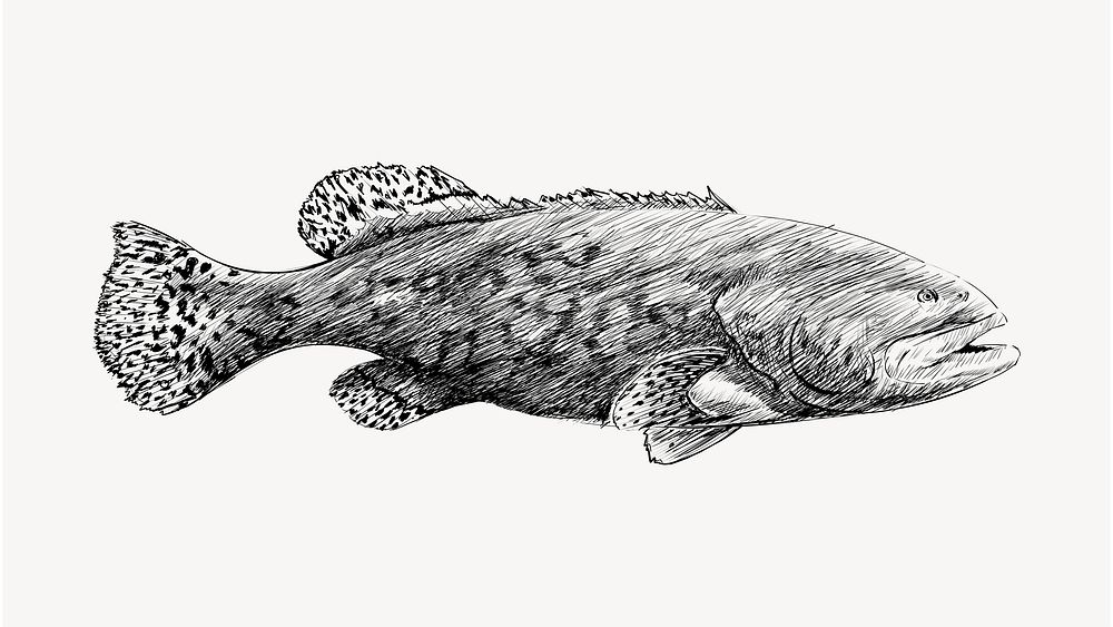 Fish sketch animal illustration vector