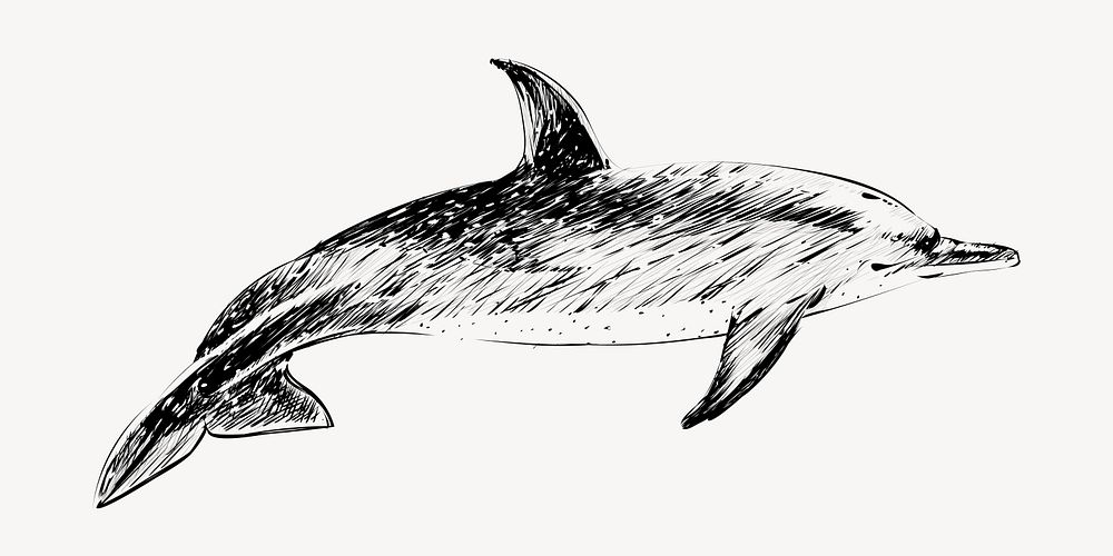 Dotted dolphin animal illustration vector