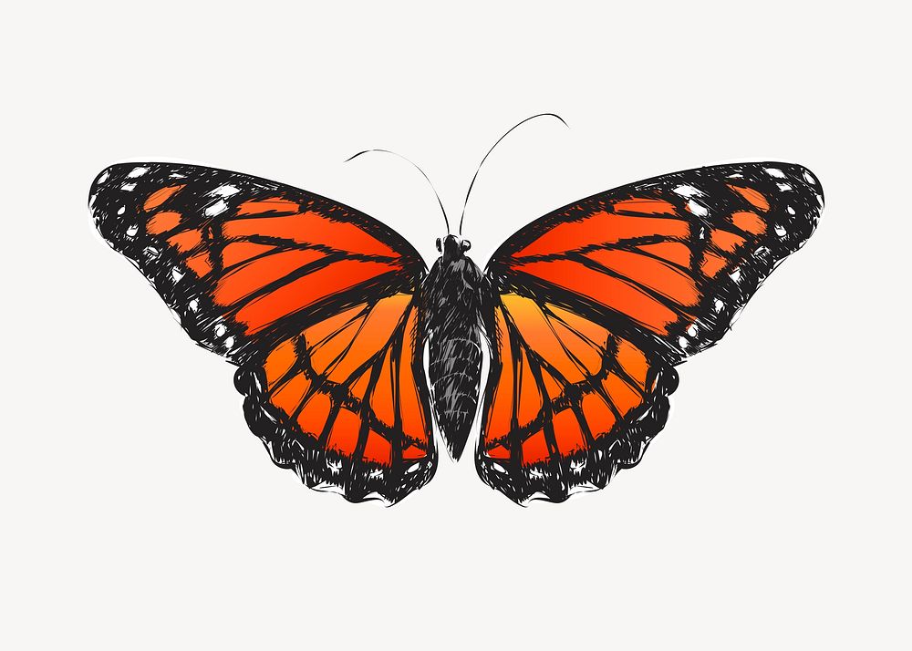 Monarch butterfly sketch animal illustration psd