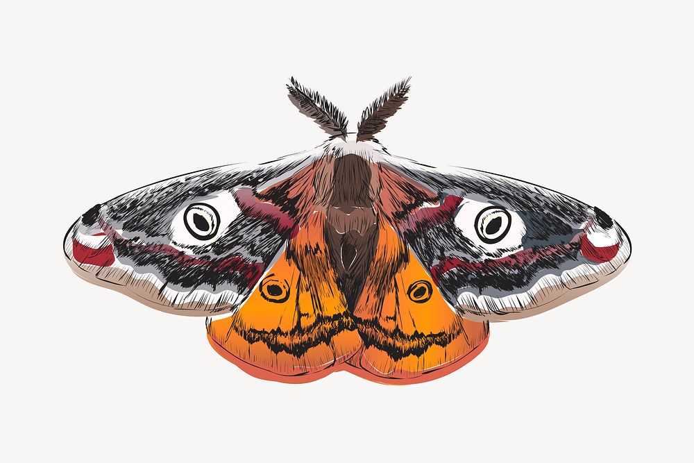 Emperor moth sketch animal illustration psd
