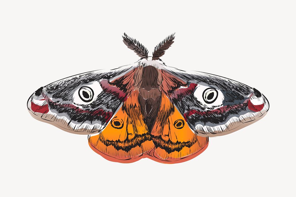 Emperor moth animal illustration vector